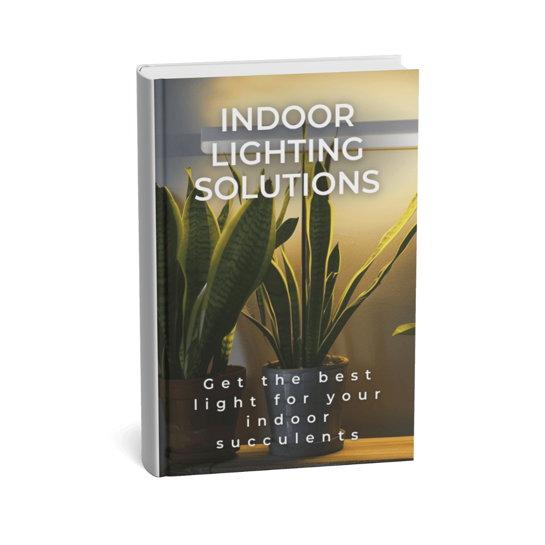 INDOOR SUCCULENT LIGHTING SOLUTIONS