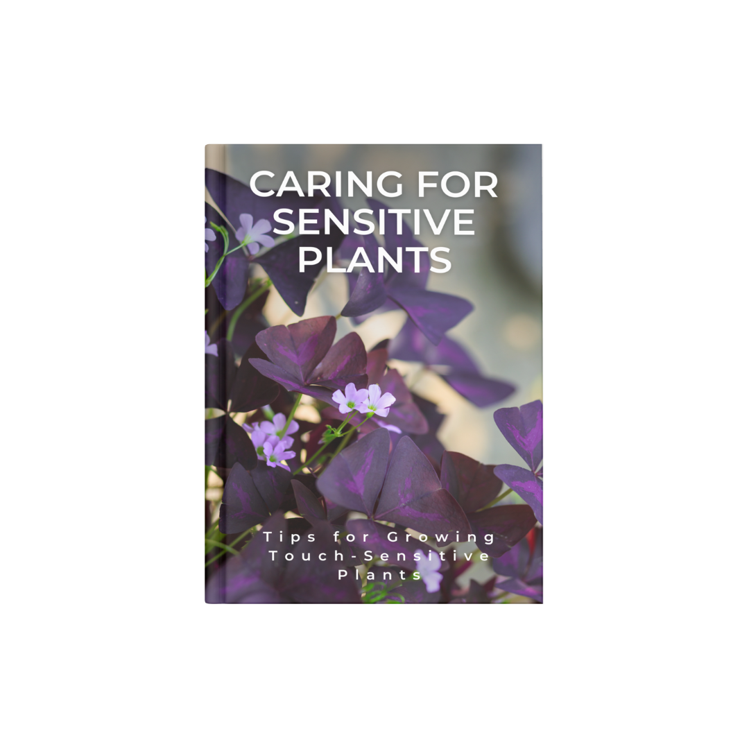 CARING FOR SENSITIVE PLANTS
