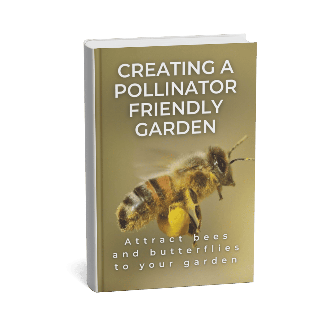 CREATING A POLLINATOR-FRIENDLY GARDEN