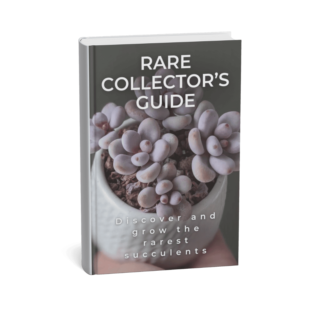 RARE SUCCULENT AND CACTUS COLLECTOR’S GUIDE
