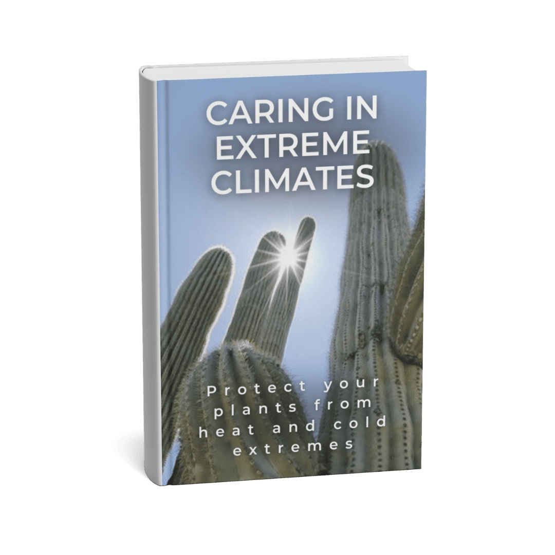 CARING FOR CACTI AND SUCCULENTS IN EXTREME CLIMATES