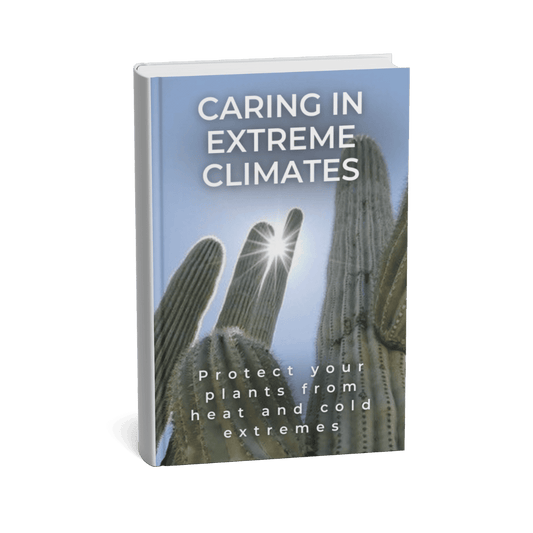 CARING FOR CACTI AND SUCCULENTS IN EXTREME CLIMATES
