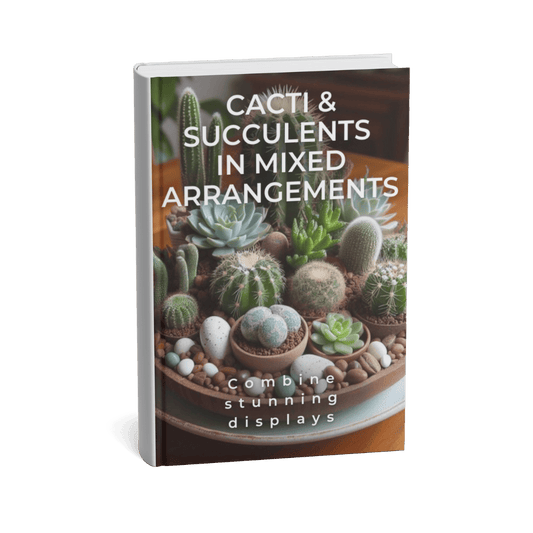 CACTI AND SUCCULENTS IN MIXED ARRANGEMENTS
