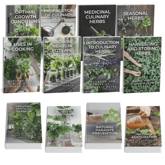 Culinary Herbs Essential