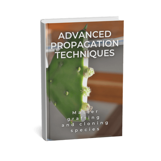ADVANCED PROPAGATION TECHNIQUES