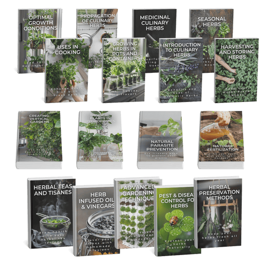 Culinary Herbs Complete Academy