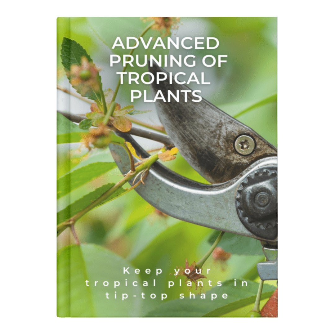 ADVANCED PRUNING OF TROPICAL PLANTS