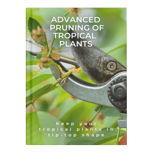 ADVANCED PRUNING OF TROPICAL PLANTS
