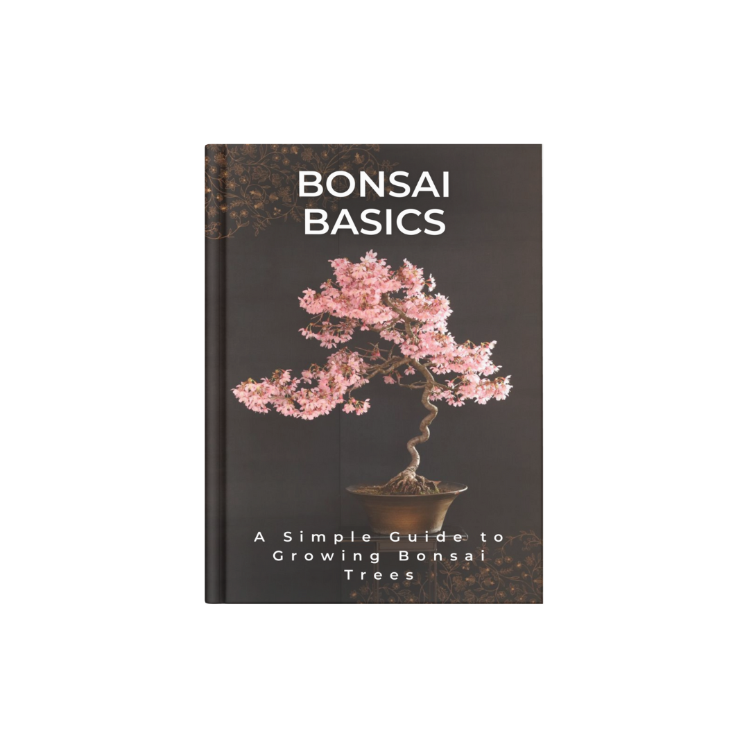 BONSAI BASICS