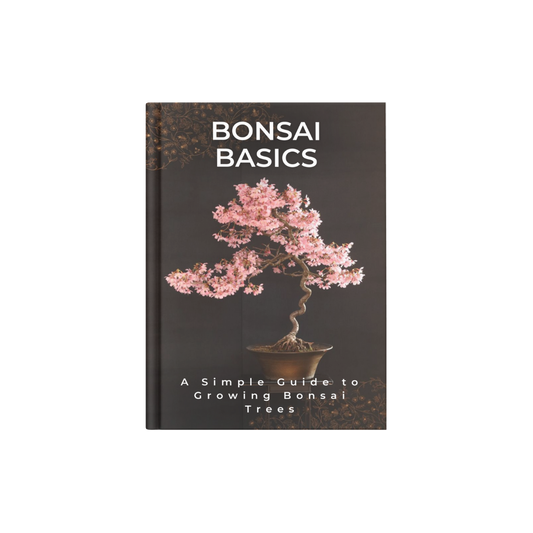 BONSAI BASICS