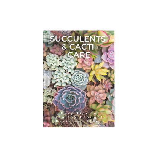 SUCCULENTS & CACTI CARE