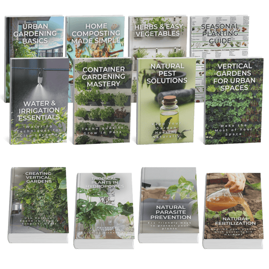 Urban Gardening Essential