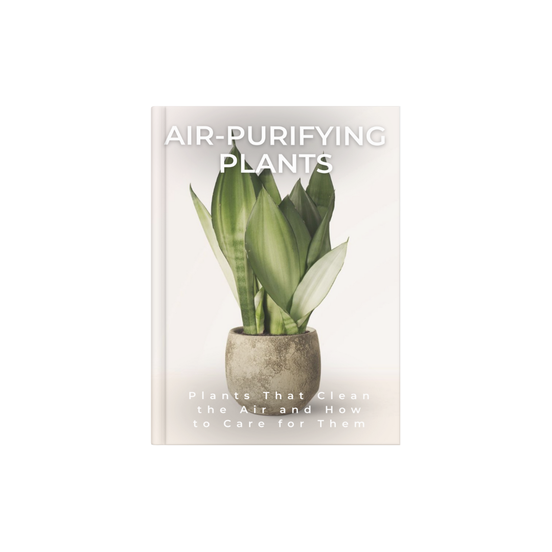 AIR-PURIFYING PLANTS