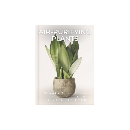 AIR-PURIFYING PLANTS