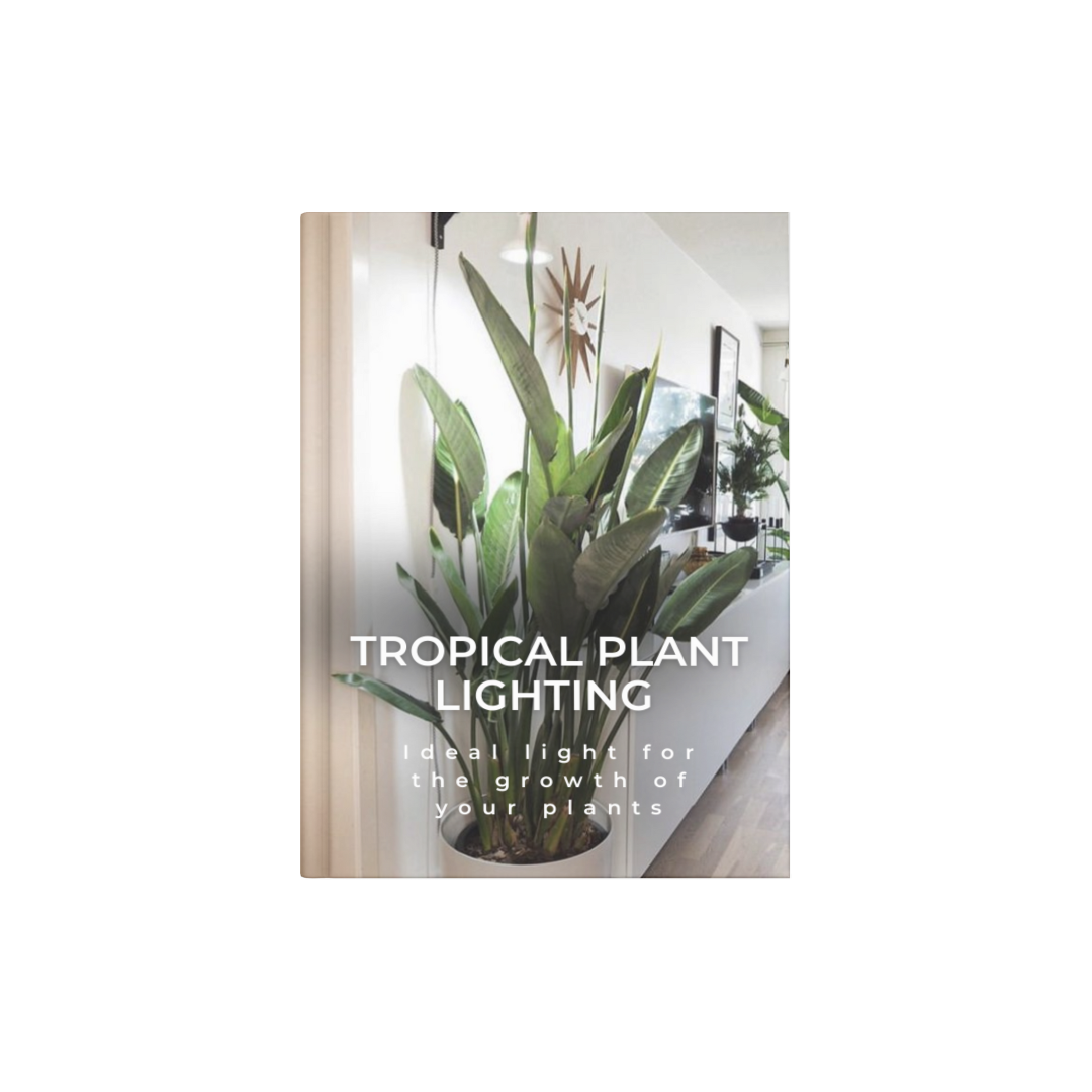 TROPICAL PLANT LIGHTING