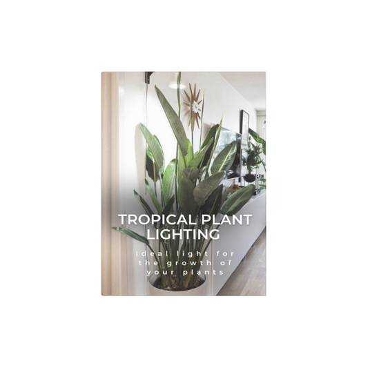 TROPICAL PLANT LIGHTING