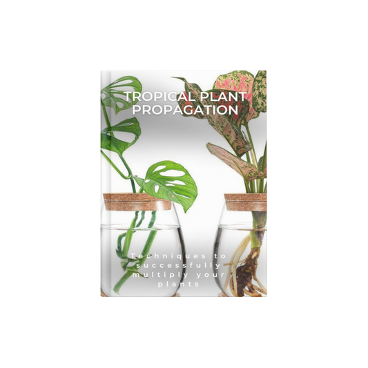 TROPICAL PLANTS PROPAGATION
