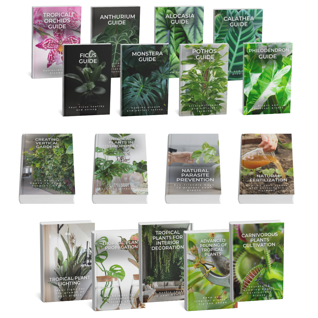 Tropical Expert Bundle