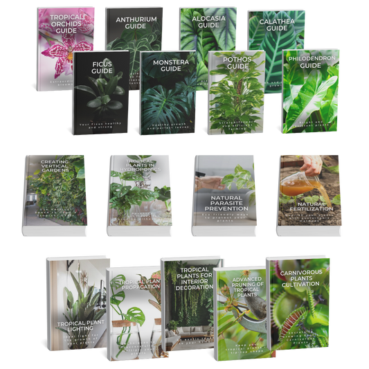 Tropical Expert Bundle