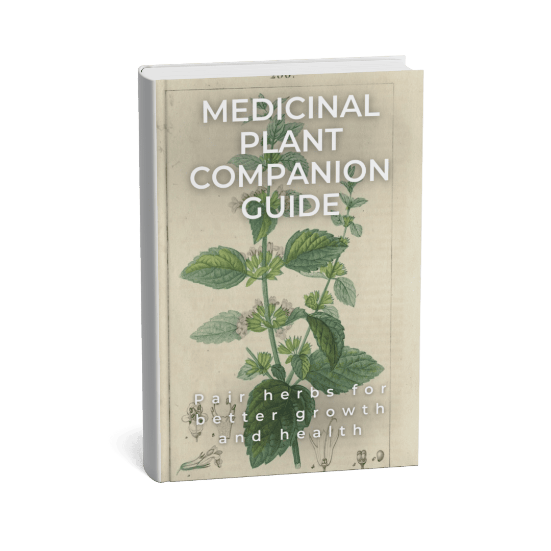MEDICINAL PLANT COMPANION GUIDE