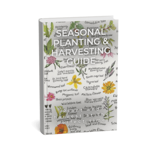 SEASONAL PLANTING AND HARVESTING GUIDE