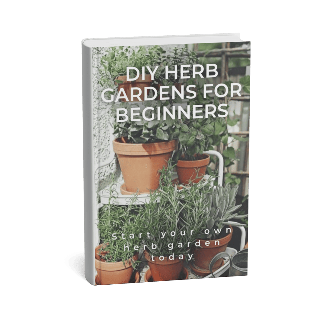 DIY HERB GARDENS FOR BEGINNERS