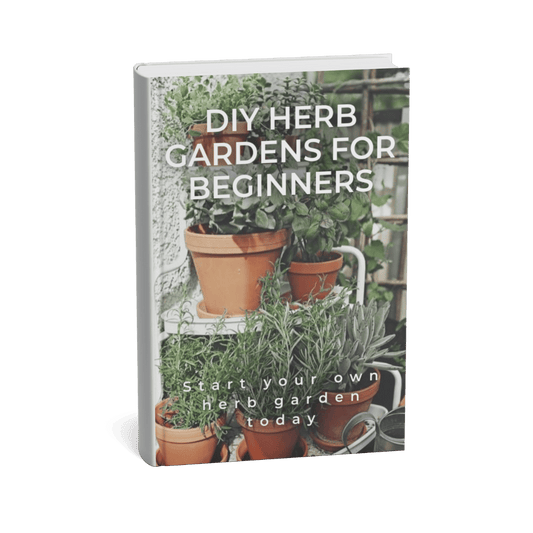 DIY HERB GARDENS FOR BEGINNERS