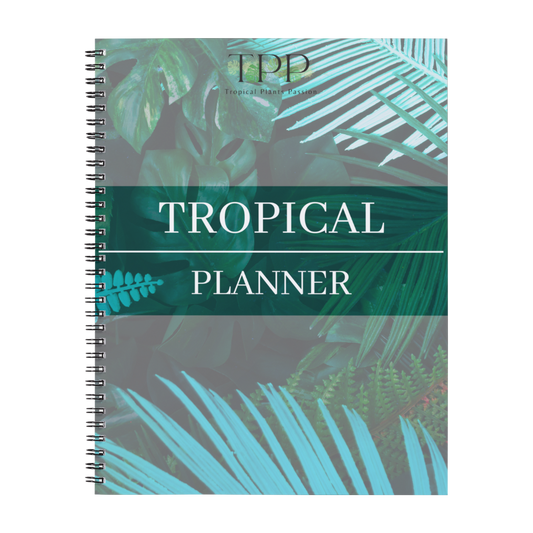 Tropical Planner