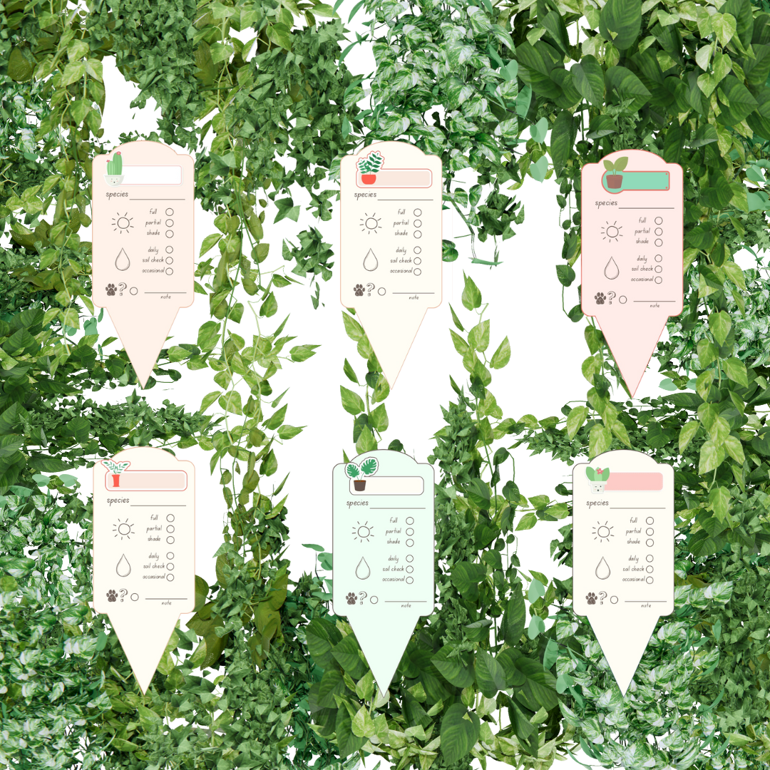 Tropical care cards