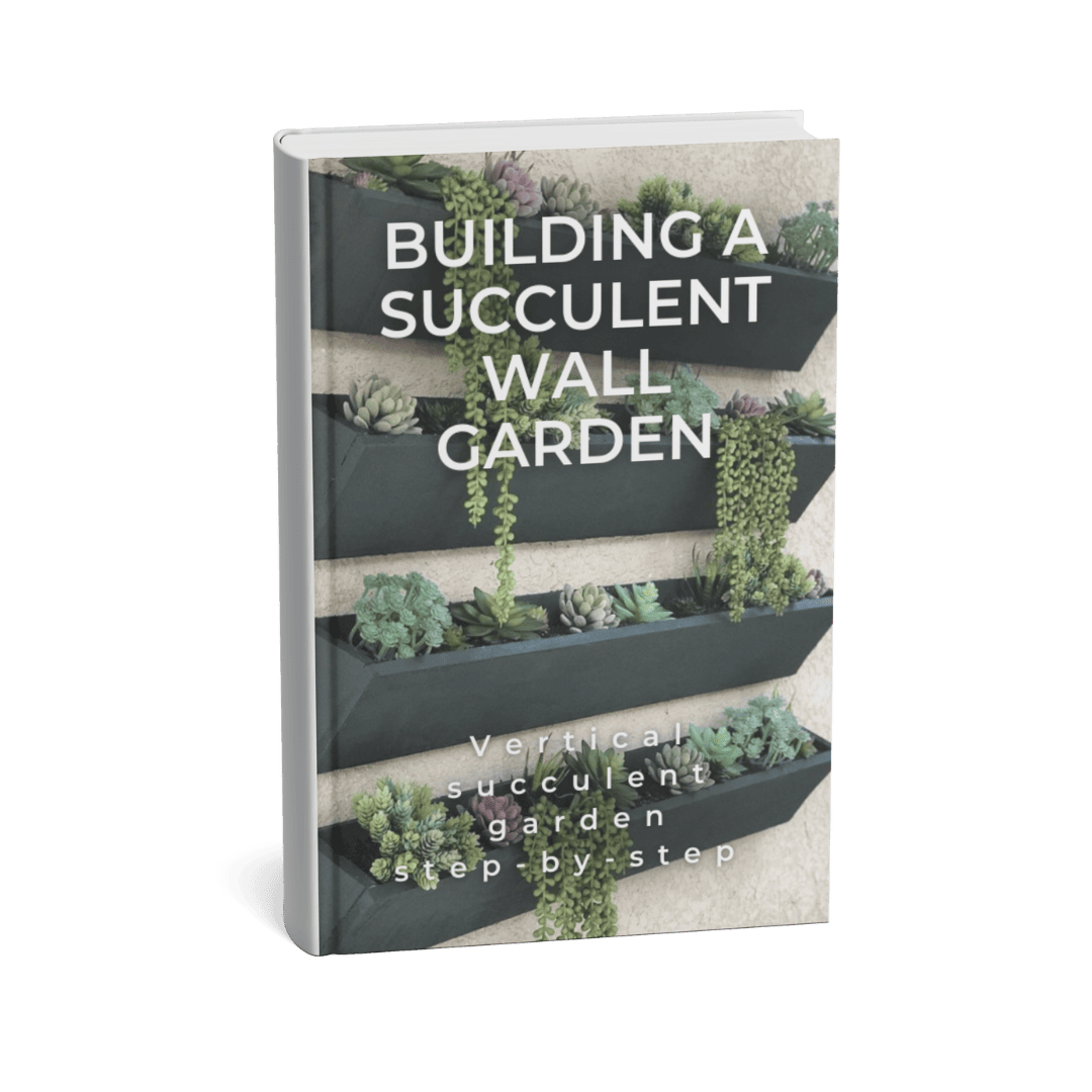 BUILDING A SUCCULENT WALL GARDEN
