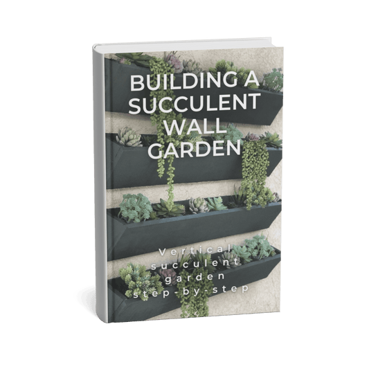 BUILDING A SUCCULENT WALL GARDEN