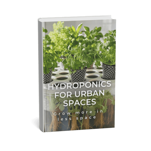 HYDROPONICS FOR URBAN SPACES