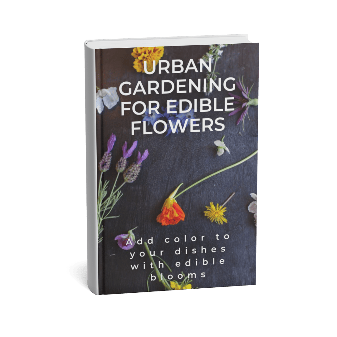 URBAN GARDENING FOR EDIBLE FLOWERS