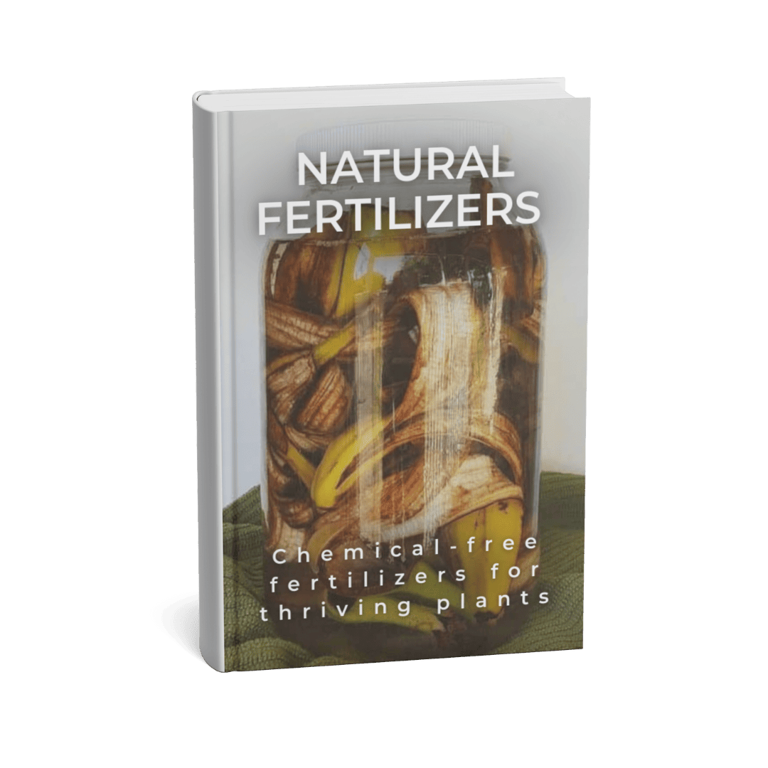 NATURAL FERTILIZERS FOR URBAN GARDENS